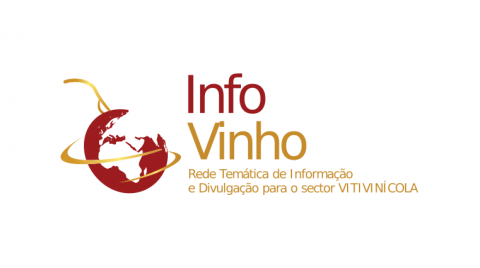 Logotipo Infovinho Fundo Branco