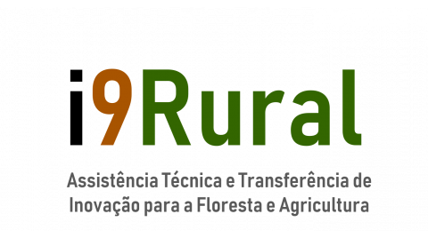 i9Rural